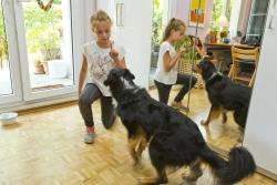 unser tierischer Therapeut Oskar bei der Arbeit