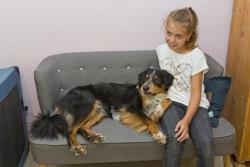 unser tierischer Therapeut Oskar bei der Arbeit